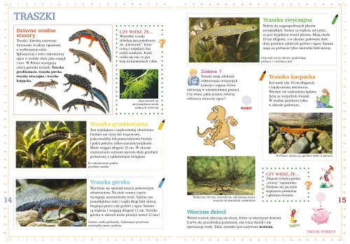 Płazy I Gady na Arena.pl