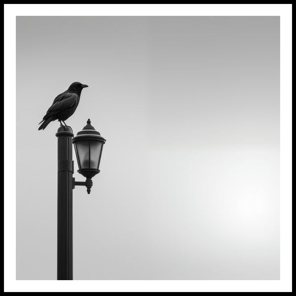 Plakat 100x100cm Samotny Postój Kruka zdjęcie 3