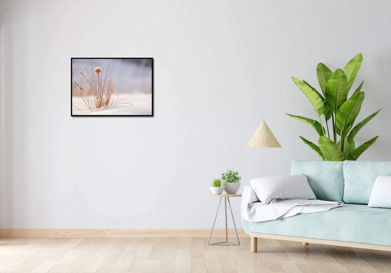 Plakat 70x50cm Zima w Detalach zdjęcie 4