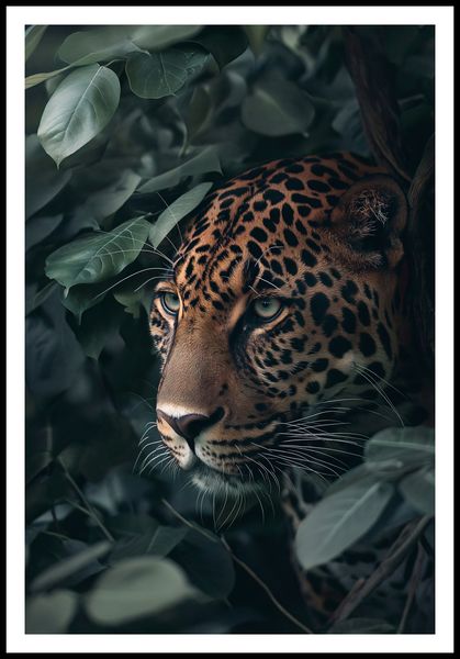 Plakat 68x101cm Schowany w Cieniu zdjęcie 3
