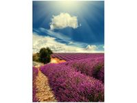 50X70CM LAWENDOWY KRAJOBRAZ OBRAZ PION ŚCIAN
