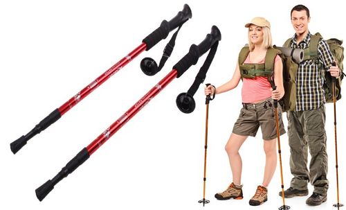 4206-MOD na Arena.pl