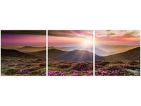 product-compare-58707754