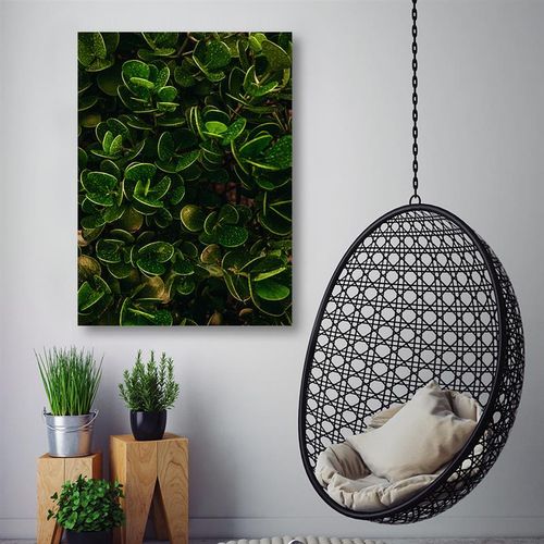 Obraz na płótnie – Canvas, Botanika zieleń 60x80 na Arena.pl