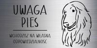 Tabliczka 20x10 cm UWAGA PIES Chart afgański LAMINAT Z GRAWEREM
