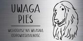 Tabliczka 20x10 cm UWAGA PIES Chart afgański LAMINAT Z GRAWEREM