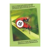 Torebka - Żuczki - Średnia