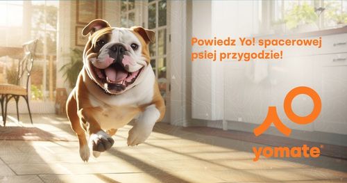 MOCNA SMYCZ AUTOMATYCZNA dla PSA / BIAŁA / BLOKADA / TAŚMA / 5 METRÓW na Arena.pl