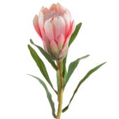 Kwiat sztuczny Protea różowa x12