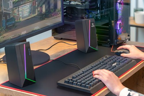 GŁOŚNIKI MAD DOG PGS500 2.0 na Arena.pl