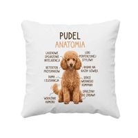 Pudel - anatomia - poduszka na prezent z pieskiem