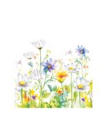 SERWETKI DAISY BEAUTIFULL FLOWER MEADOW 33X33CM POL-MAK