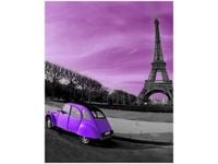 40X50CM CYTRYNA FIOLECIE OBRAZ