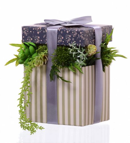 Flower box sukulenty prezent na Arena.pl