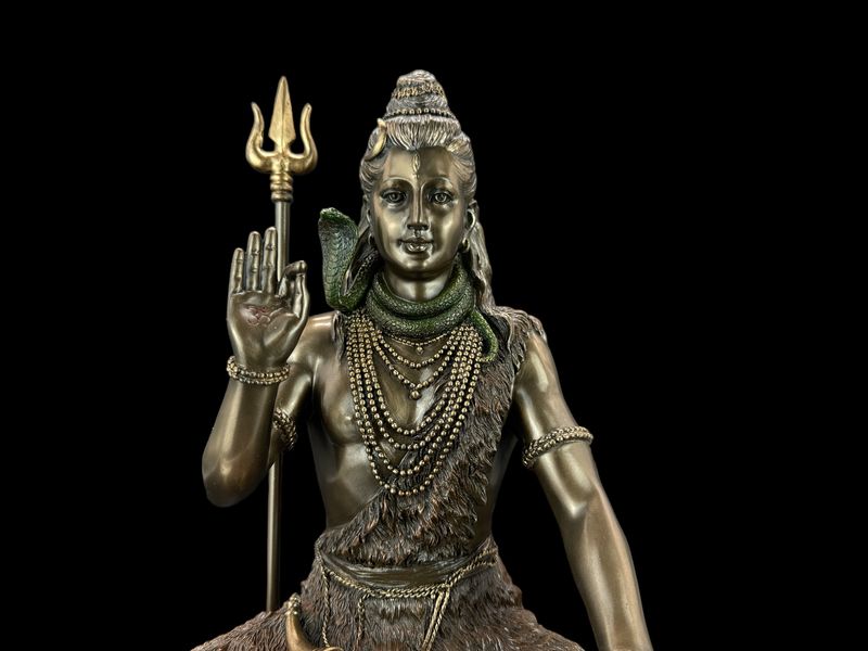 MEDYTUJĄCY SHIVA VERONESE WU76758A4 zdjęcie 7