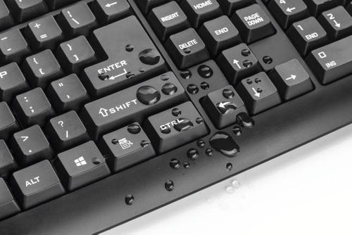 Trust ClassicLine Keyboard na Arena.pl