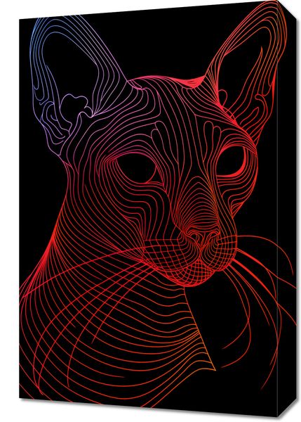 Obraz 40x60cm Cyfrowa Kocica zdjęcie 1