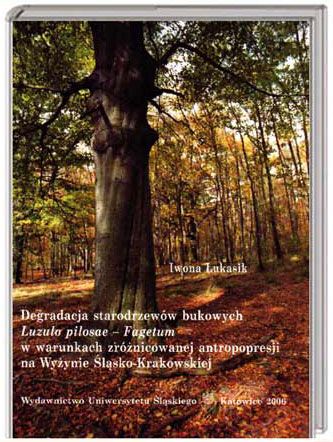 DEGRADACJA STARODRZEWOW BUKOWYCH - BUK - zdjęcie 1