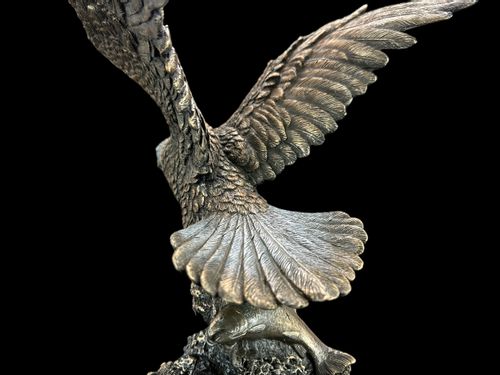 BIELIK AMERYKAŃSKI ŁAPIĄCY RYBĘ VERONESE WU75227A4 na Arena.pl