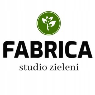 Hoya / Hoja carnosa Flamingo dream na Arena.pl