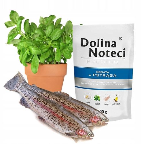 DOLINA NOTECI Saszetka dla Psa Mix 10x 500g na Arena.pl