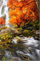 product-compare-58703413