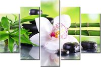 product-compare-58696731