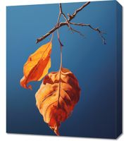 Obraz 50x60cm Ostatni Oddech Lata