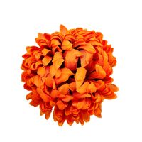 Chryzantema wyr. ananas amber 6 szt