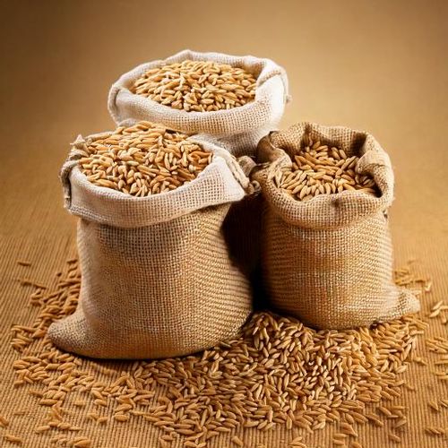 Słód pale ale Viking Malt (5.5-7.5 EBC) 5kg na Arena.pl