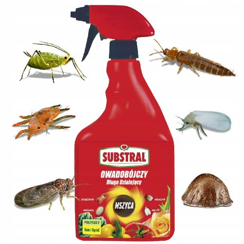 SUBSTRAL POLYSECT ŚRODEK OPRYSK MSZYCE PRZĘDZIORKI WEŁNOWCE MĄCZLIKI na Arena.pl