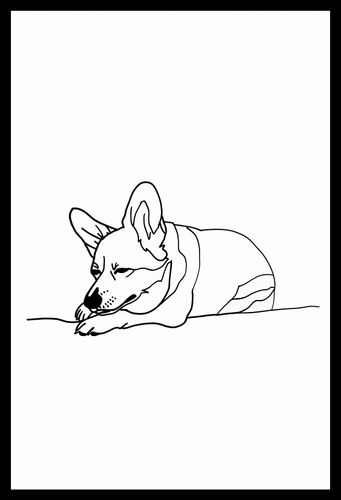 Plakat 30x45cm Śpiący Corgacz na Arena.pl