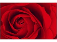 60X40CM CZEWONA RÓŻA OBRAZ
