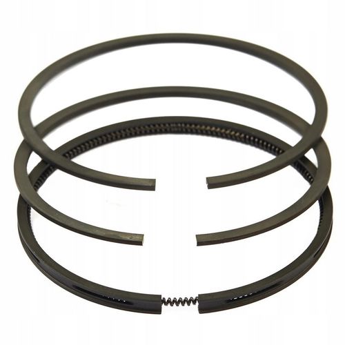 PIERŚCIENIE BRIGGS&STRATTON 10-18KM na Arena.pl