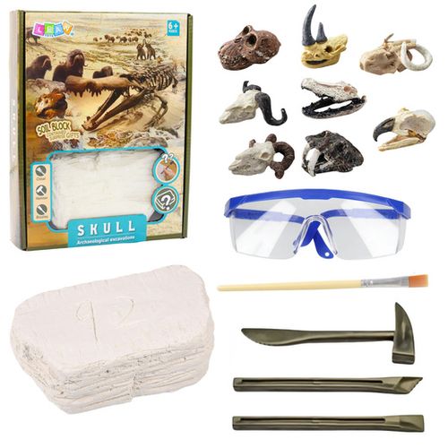 ZESTAW ARCHEOLOGICZNY CZASZKI na Arena.pl