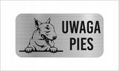GRAWER Tabliczka nierdzewna 20x10 cm UWAGA PIES Bulterier miniaturowy