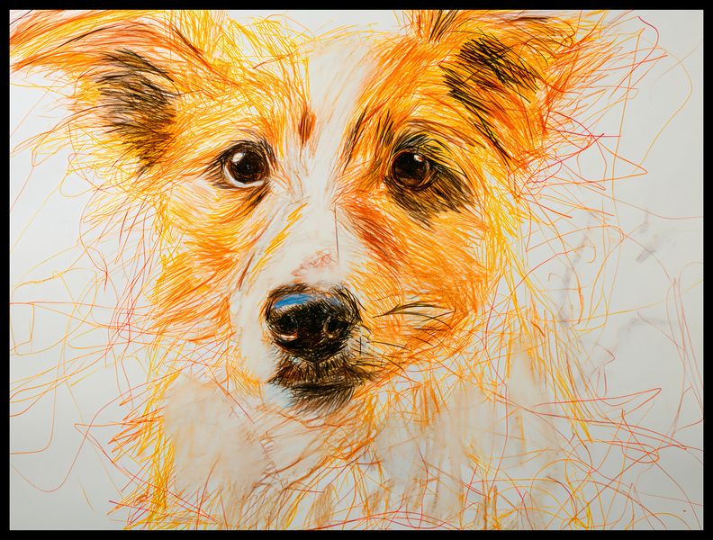 Plakat 80x60cm Uroczy Gość zdjęcie 2