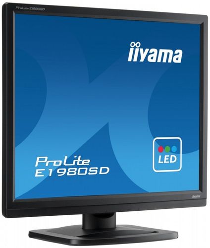 IIYAMA 19'' E1980SD D-sub/DVI-D/glosniki na Arena.pl