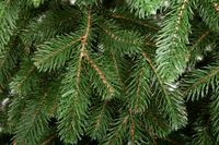 Choinka sztuczna 100% PE, silikonowa choinka „Kovalivska” zielona 2.10 m