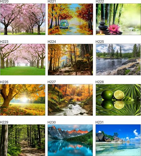 Fototapeta 3D drzewa las brzozy widok 130x80 FLIZ na Arena.pl