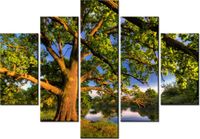 product-compare-58695204