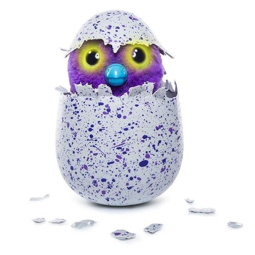 Hatchimals Jajko Smoczydło Ast. na Arena.pl