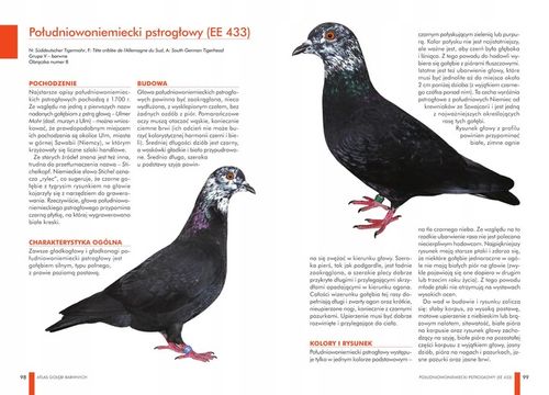 ZESTAW KSIĄŻEK O GOŁĘBIACH ATLAS GOŁĘBI POLSKIE RASY I GOŁĘBIE BARWNE 148 na Arena.pl