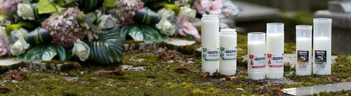 Wkłady Olejowe Do Zniczy Bispol WO11 144h 16 Sztuk Długo Palące na Arena.pl