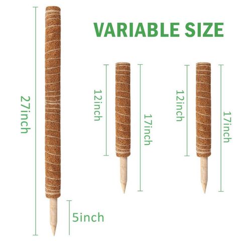 Kij kokosowy do roślin 2x 30cm na Arena.pl