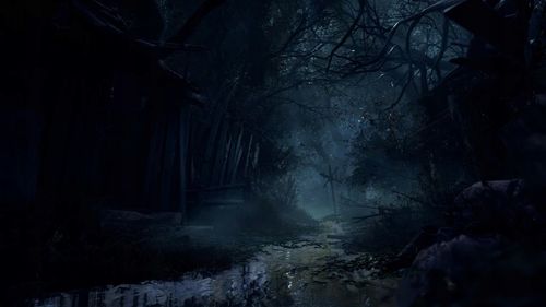 Resident Evil 4 REMAKE Gra na Xbox Series X na Arena.pl