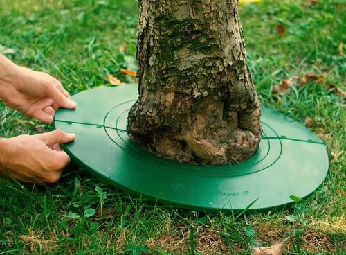 Ochraniacz drzewa TreeGuard 115mm na Arena.pl