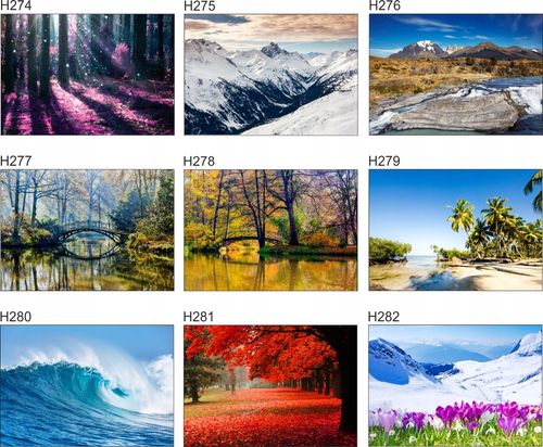 Fototapeta 3D drzewa las brzozy widok 130x80 FLIZ na Arena.pl