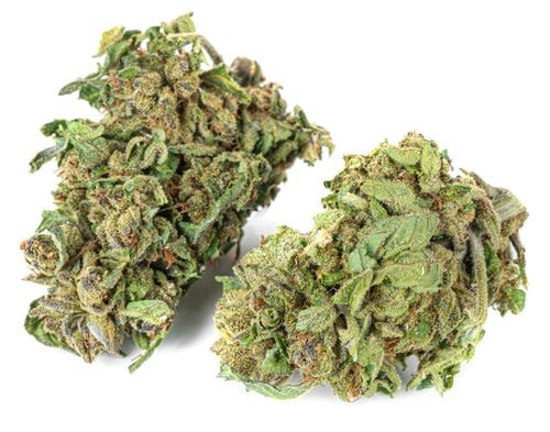 Susz konopny Amnesia Haze CBD PREMIUM 2g na Arena.pl
