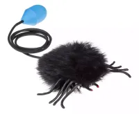 Skaczący Pająk, Czarny